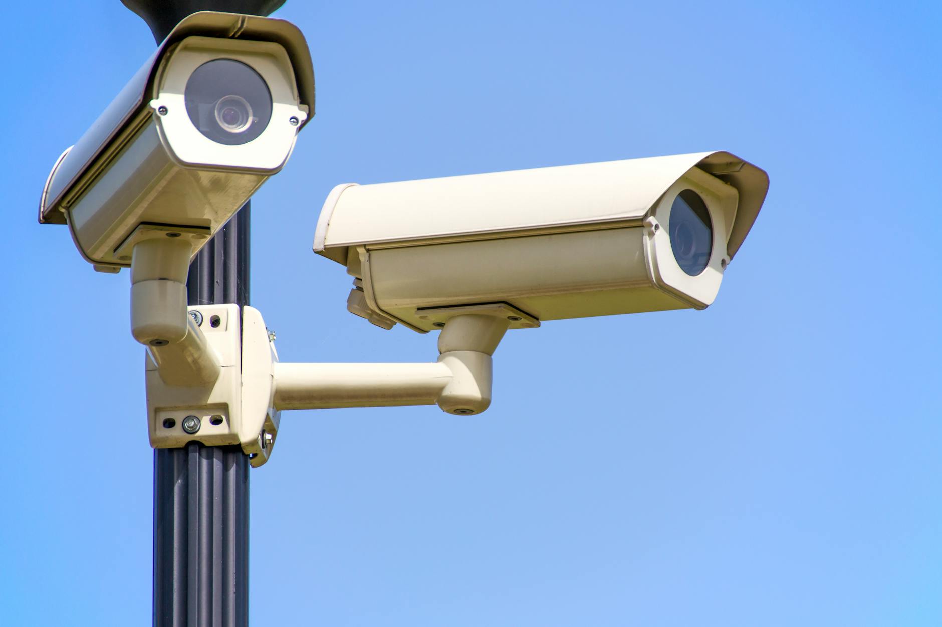 How to OSV: Vulnerabilities API, Scanners, and a Bit of Hope